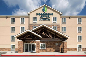  Woodspring Suites Houston IAH Airport  Хамбл